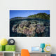 Colorful Coral Reef Grows Wall Decal Design 5