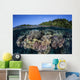 Colorful Coral Reef Grows Wall Decal Design 5