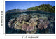 Colorful Coral Reef Grows Wall Decal Design 5