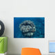 Large Coral Bommie Grows Wall Decal Design 1