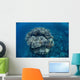 Large Coral Bommie Grows Wall Decal Design 1