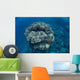 Large Coral Bommie Grows Wall Decal Design 1