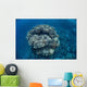 Large Coral Bommie Grows Wall Decal Design 1