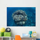 Large Coral Bommie Grows Wall Decal Design 1