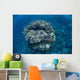 Large Coral Bommie Grows Wall Decal Design 1