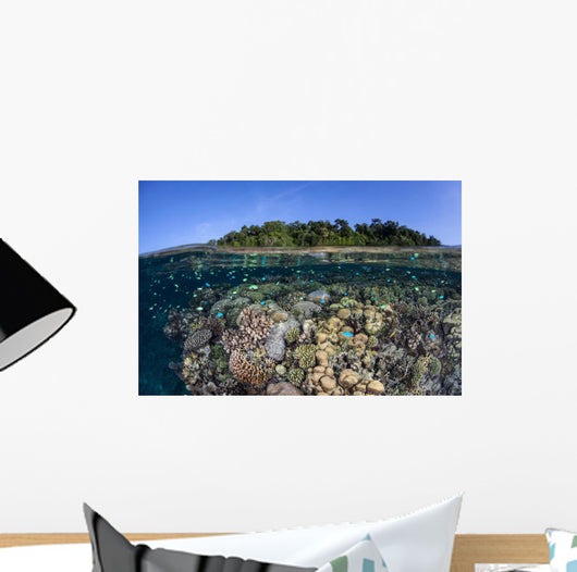 Diverse Coral Reef Grows Wall Decal Design 1