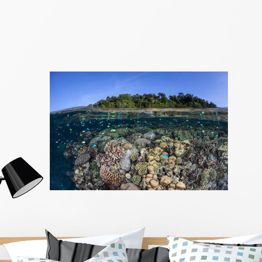 Diverse Coral Reef Grows Wall Decal Design 1