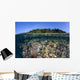 Diverse Coral Reef Grows Wall Decal Design 1