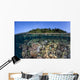 Diverse Coral Reef Grows Wall Decal Design 1