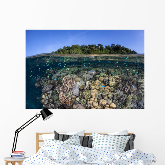 Diverse Coral Reef Grows Wall Decal Design 1