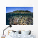 Diverse Coral Reef Grows Wall Decal Design 1