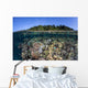 Diverse Coral Reef Grows Wall Decal Design 1