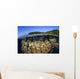 Coral Reef Grows Shallow Wall Decal Design 1