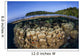 Coral Reef Grows Shallow Wall Decal Design 1