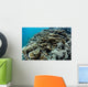 Foliose Corals Grow Reef Wall Decal Design 2