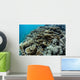 Foliose Corals Grow Reef Wall Decal Design 2