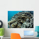 Foliose Corals Grow Reef Wall Decal Design 2