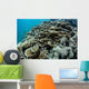 Foliose Corals Grow Reef Wall Decal Design 2