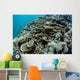 Foliose Corals Grow Reef Wall Decal Design 2