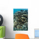 Foliose Corals Grow Reef Wall Decal Design 1