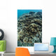 Foliose Corals Grow Reef Wall Decal Design 1