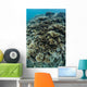 Foliose Corals Grow Reef Wall Decal Design 1