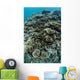 Foliose Corals Grow Reef Wall Decal Design 1