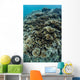 Foliose Corals Grow Reef Wall Decal Design 1