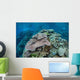Colorful Reef-building Corals Grow Wall Decal Design 4
