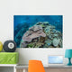 Colorful Reef-building Corals Grow Wall Decal Design 4