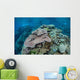 Colorful Reef-building Corals Grow Wall Decal Design 4