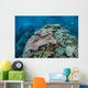 Colorful Reef-building Corals Grow Wall Decal Design 4
