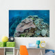 Colorful Reef-building Corals Grow Wall Decal Design 4
