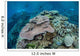 Colorful Reef-building Corals Grow Wall Decal Design 4