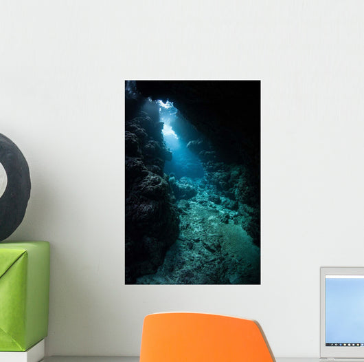 Sunlight Descends Underwater and Wall Decal Design 6