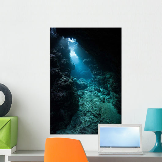 Sunlight Descends Underwater and Wall Decal Design 6