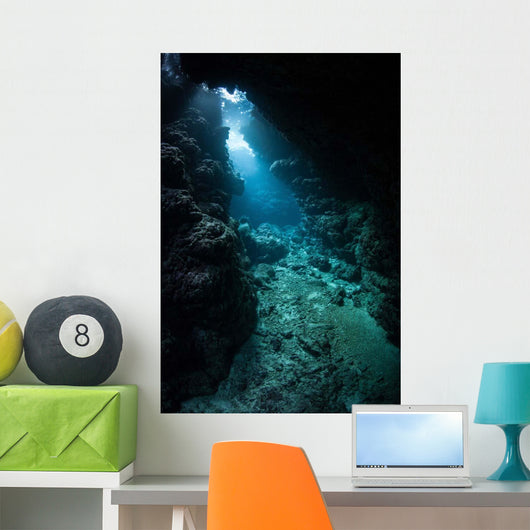 Sunlight Descends Underwater and Wall Decal Design 6