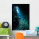 Sunlight Descends Underwater and Wall Decal Design 6