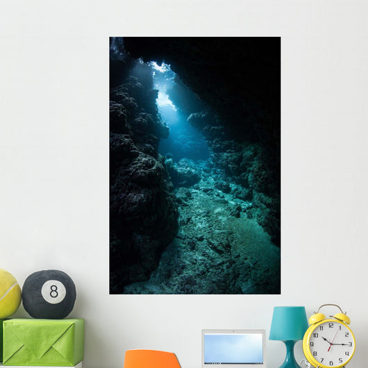 Sunlight Descends Underwater and Wall Decal Design 6
