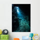 Sunlight Descends Underwater and Wall Decal Design 6