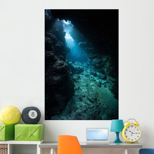 Sunlight Descends Underwater and Wall Decal Design 6
