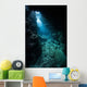 Sunlight Descends Underwater and Wall Decal Design 6