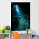Sunlight Descends Underwater and Wall Decal Design 6