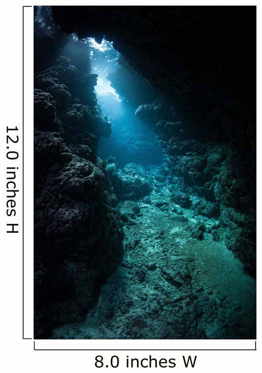 Sunlight Descends Underwater and Wall Decal Design 6