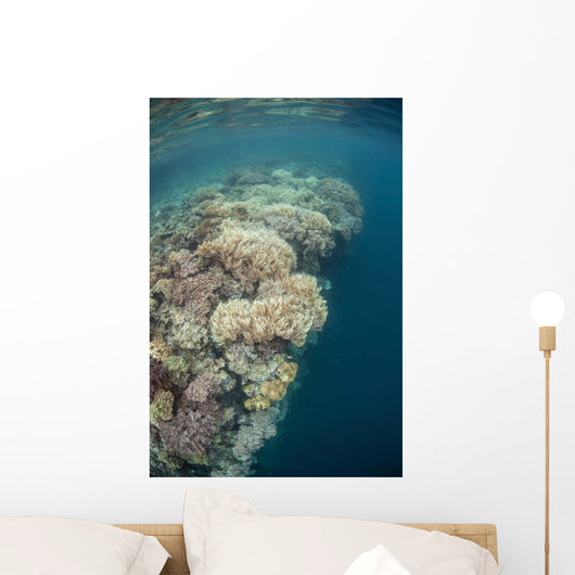 Diverse Coral Reef Drops Wall Decal