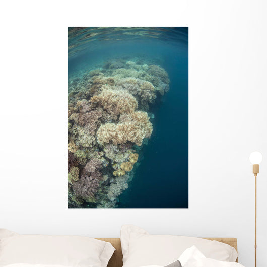 Diverse Coral Reef Drops Wall Decal
