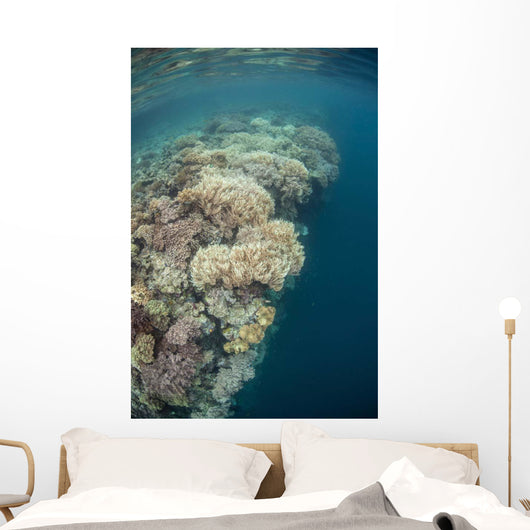Diverse Coral Reef Drops Wall Decal