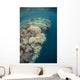 Diverse Coral Reef Drops Wall Decal
