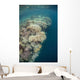 Diverse Coral Reef Drops Wall Decal