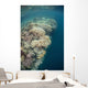 Diverse Coral Reef Drops Wall Decal